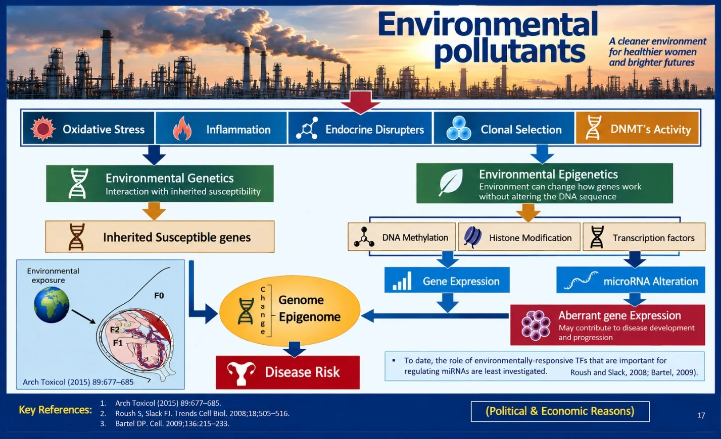 Teaching slide titled “Environmental pollutants”, with a photograph of an industrial skyline with smoking chimneys across the top and the words “A cleaner environment for healthier women and brighter futures”. Below it, a row of five boxes: Oxidative Stress, Inflammation, Endocrine Disrupters, Clonal Selection, DNMT’s Activity. Left side: Environmental Genetics – Interaction with inherited susceptibility; Inherited Susceptible genes; an inset labelled Environmental exposure showing a globe with an arrow to a drawing of a pregnant abdomen marked F0, F1 and F2, captioned Arch Toxicol (2015) 89:677–685. Right side: Environmental Epigenetics – Environment can change how genes work without altering the DNA sequence; DNA Methylation, Histone Modification, Transcription factors; Gene Expression; microRNA Alteration; Aberrant gene Expression – May contribute to disease development and progression. Centre: a yellow oval labelled Change, Genome, Epigenome, with an arrow down to a red box labelled Disease Risk. A boxed note reads: To date, the role of environmentally-responsive TFs that are important for regulating miRNAs are least investigated. Roush and Slack, 2008; Bartel, 2009). Footer: Key References: 1. Arch Toxicol (2015) 89:677–685. 2. Roush S, Slack FJ. Trends Cell Biol. 2008;18;505–516. 3. Bartel DP. Cell. 2009;136:215–233. A yellow-bordered box reads (Political & Economic Reasons), and the slide is numbered 17.